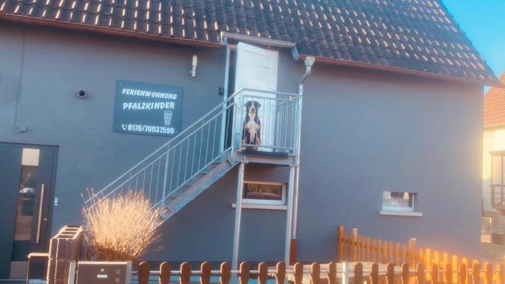 Pfalzkinder Neustadt an der Weinstrasse Ngoại thất bức ảnh
